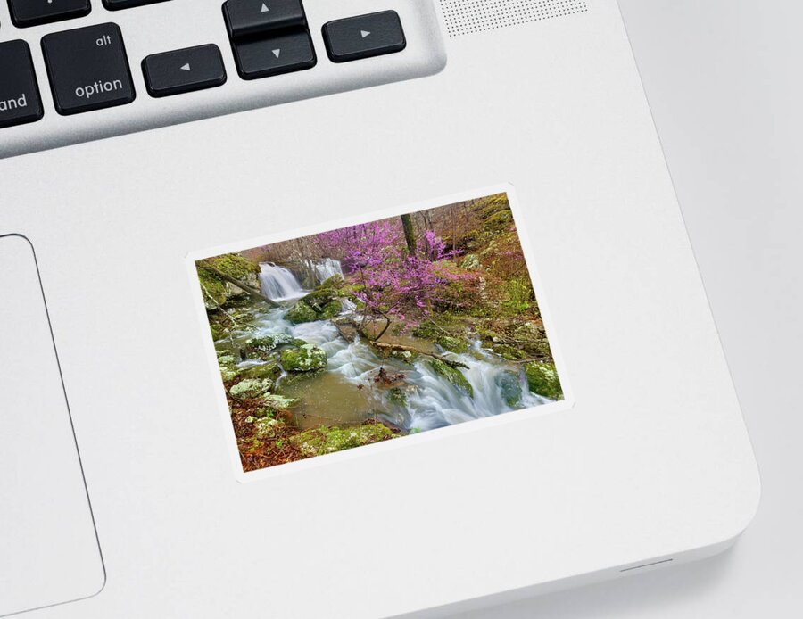 Spring Sticker featuring the photograph Coward's Hollow Shut-ins II by Robert Charity