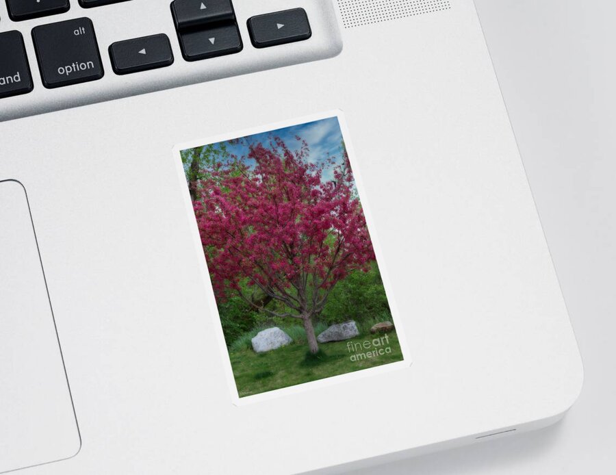 Crabapple Sticker featuring the photograph Crabapple in Steamboat by Veronica Batterson