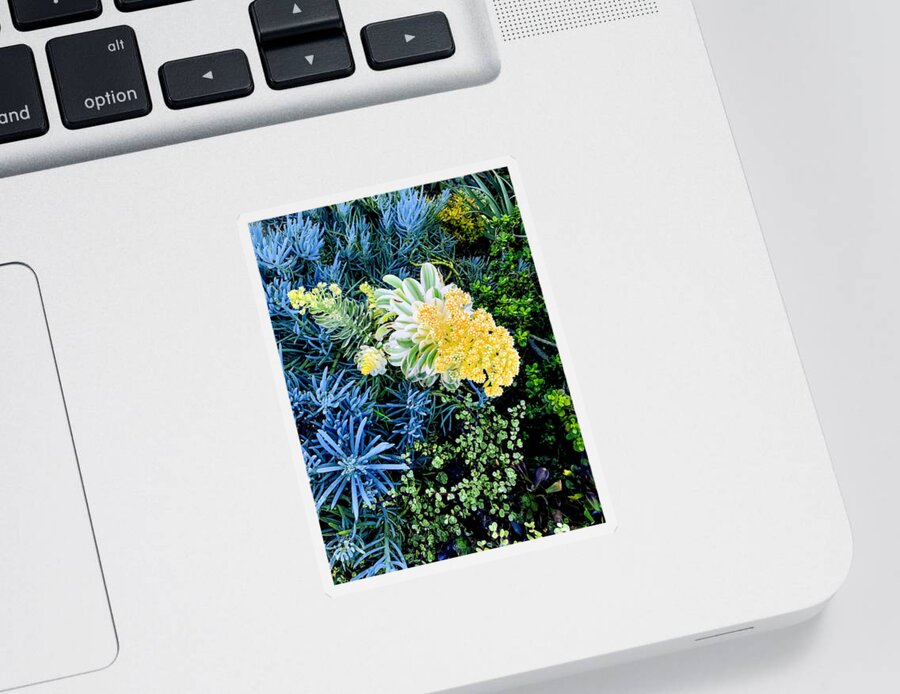 Garden Sticker featuring the photograph Creative Garden by Her Arts Desire