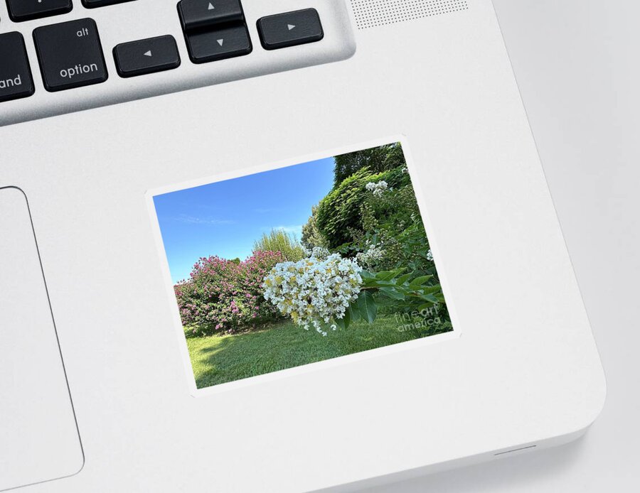 Crepe Sticker featuring the photograph Crepe Myrtle Showtime by Catherine Wilson