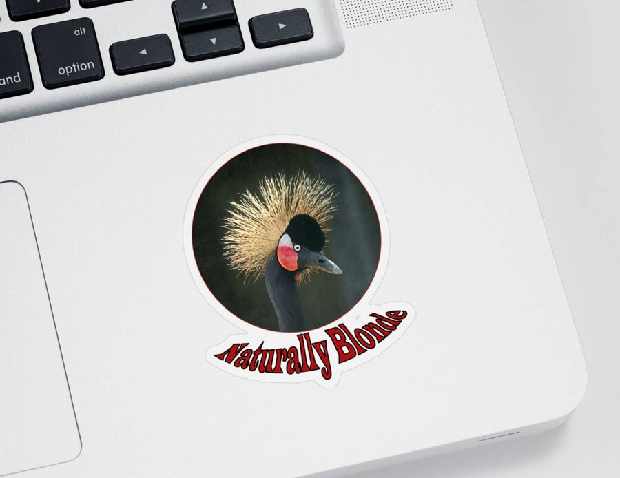 Crowned Crane Sticker featuring the photograph Crowned Crane - Naturally Blonde - Transparent by Nikolyn McDonald