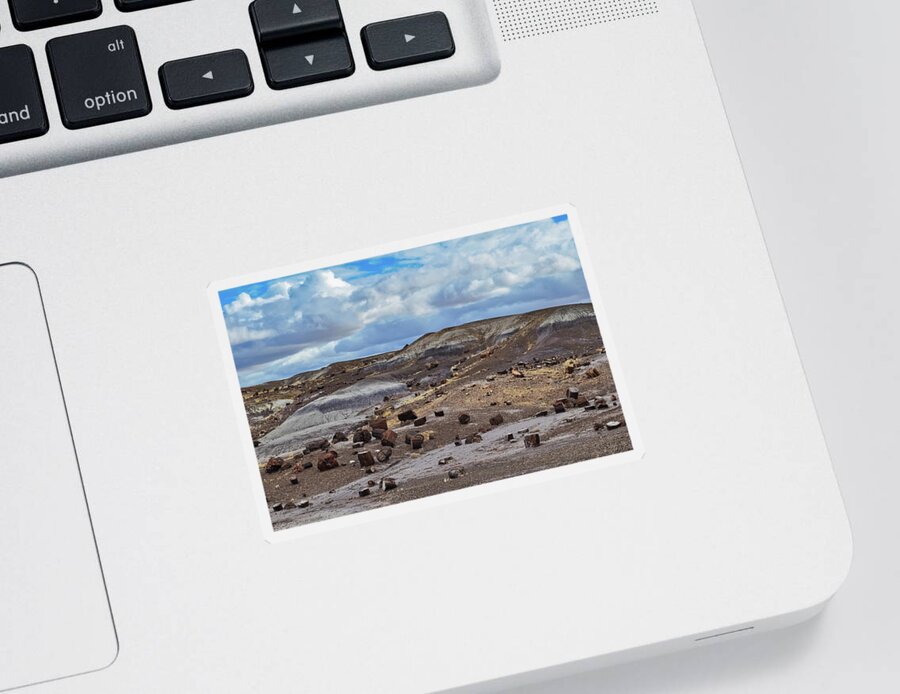 Petrified Forest National Park Sticker featuring the photograph Crystal Forest Arizona by Kyle Hanson