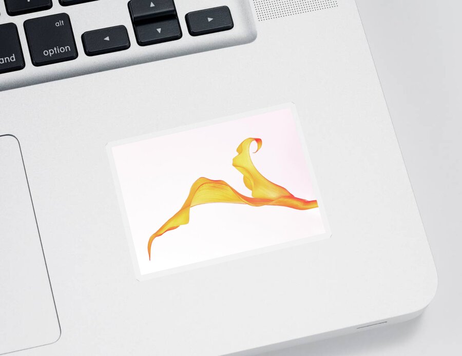 Calla Lily Sticker featuring the photograph Curves Of Calla Lily by Elvira Peretsman