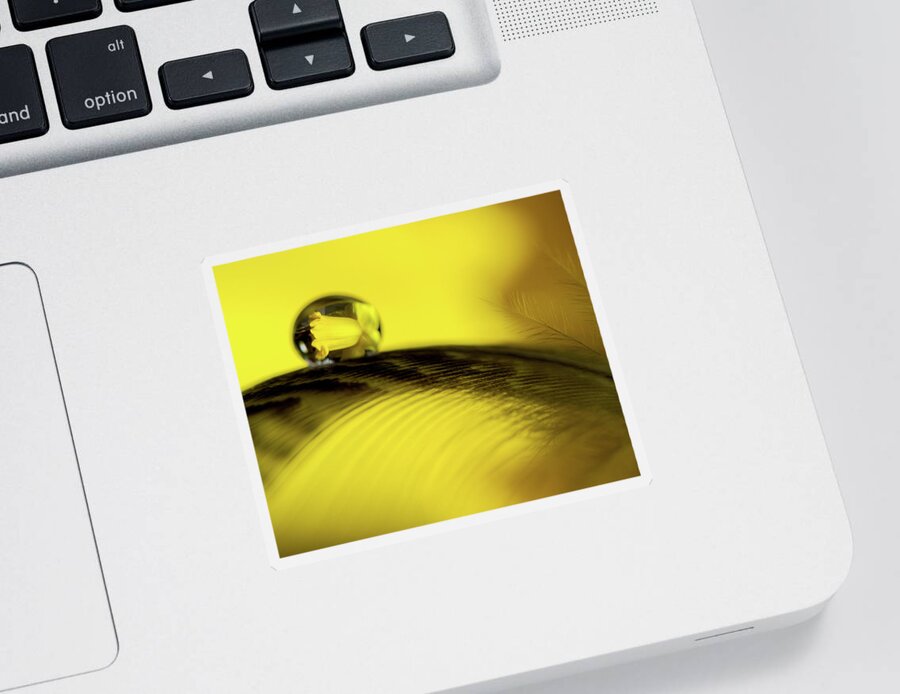 Waterdrop Sticker featuring the photograph Daffodil Reflection in Waterdrop by Jean Noren