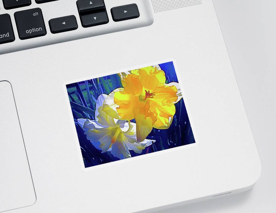 Daffodils Sticker featuring the photograph Daffodils 1 by Pamela Cooper