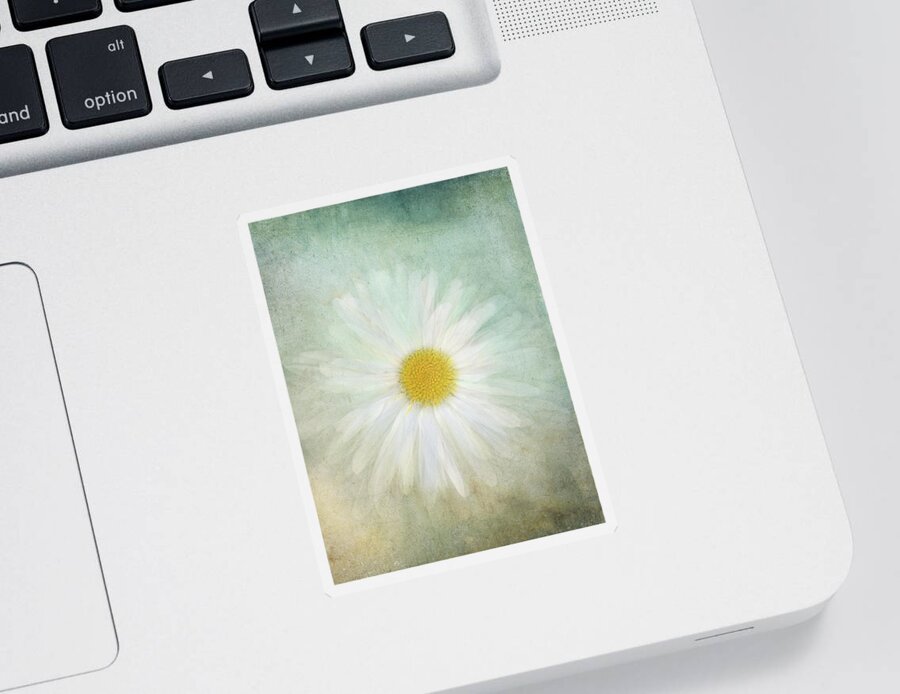 Photography Sticker featuring the digital art Daisy and Textures by Terry Davis
