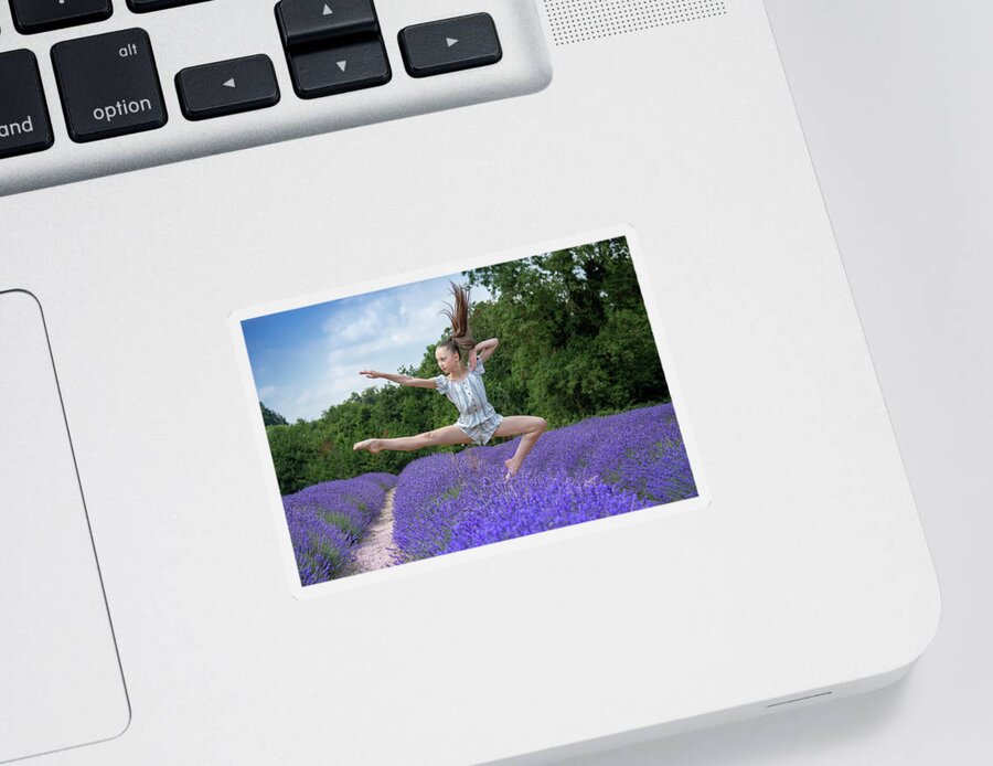 Lavender Sticker featuring the photograph Dance on the lavender by Andrew Lalchan