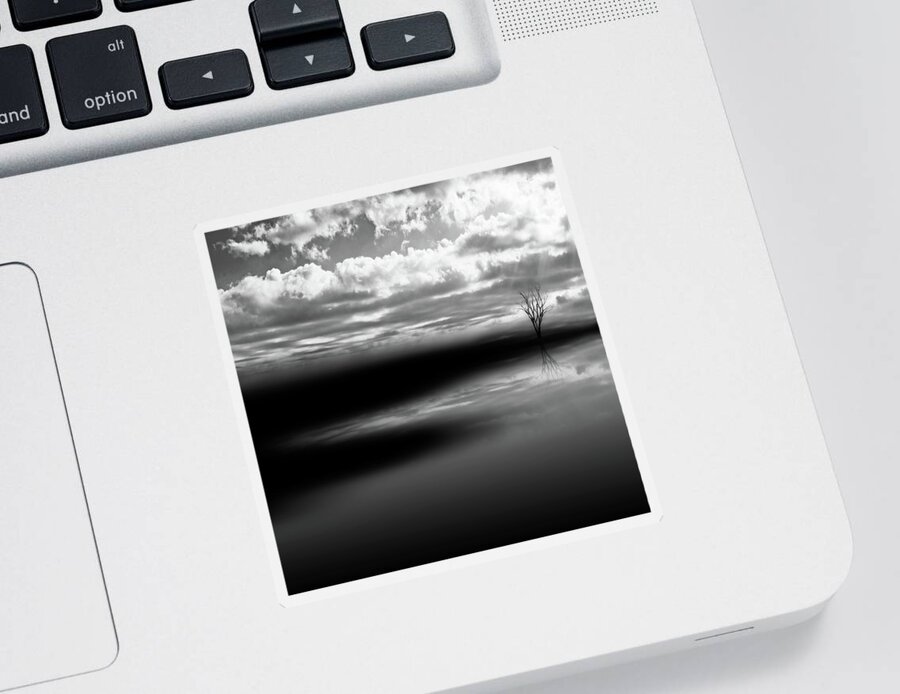Black And White Sticker featuring the photograph Dark And Light by Carmen Kern