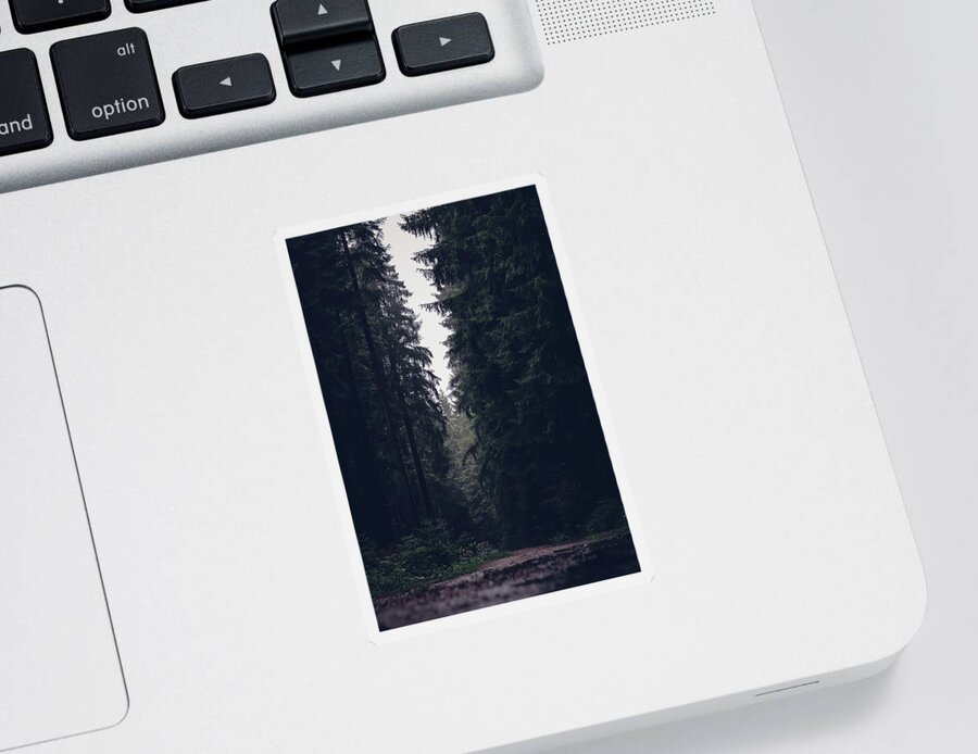 Forest Sticker featuring the photograph Dark atmosphere in forest. Forgotten road in rainy day by Vaclav Sonnek