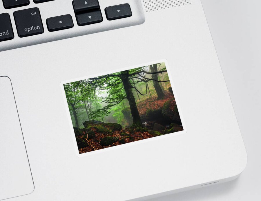 Fog Sticker featuring the photograph Dark Forest by Evgeni Dinev