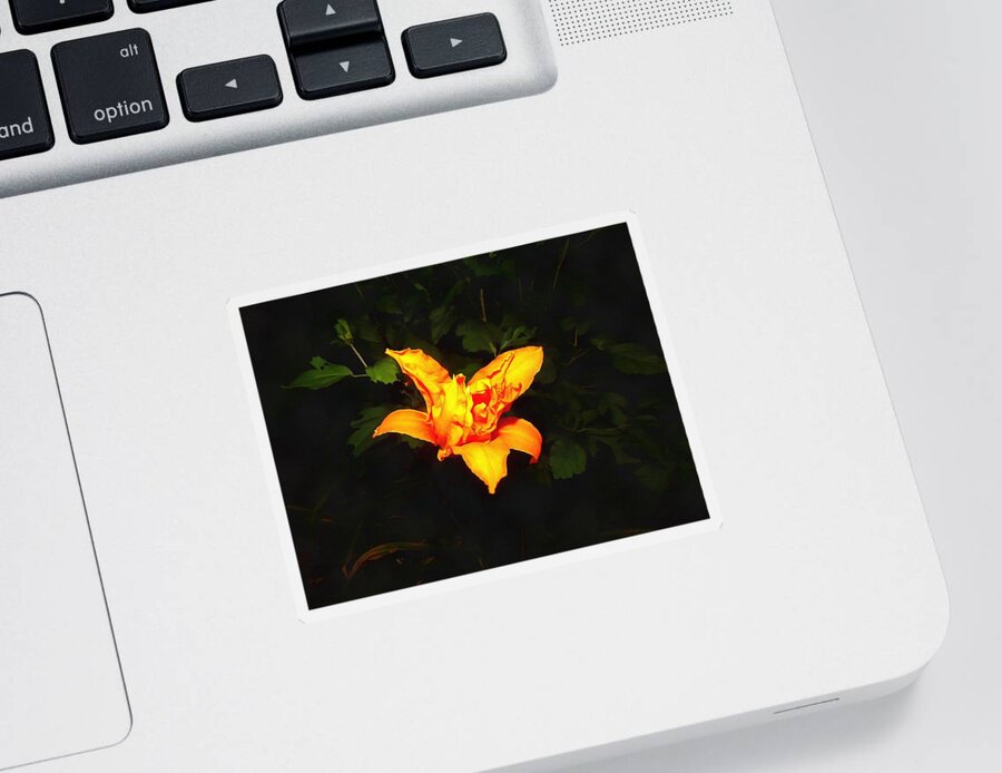 Daylily Sticker featuring the photograph Daylily at Night by Christopher Reed