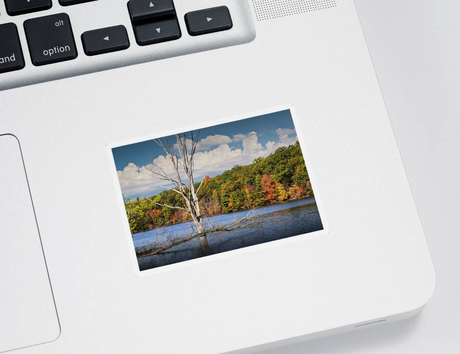 Beautiful Sticker featuring the photograph Dead Tree Stickup on Hall Lake by Randall Nyhof