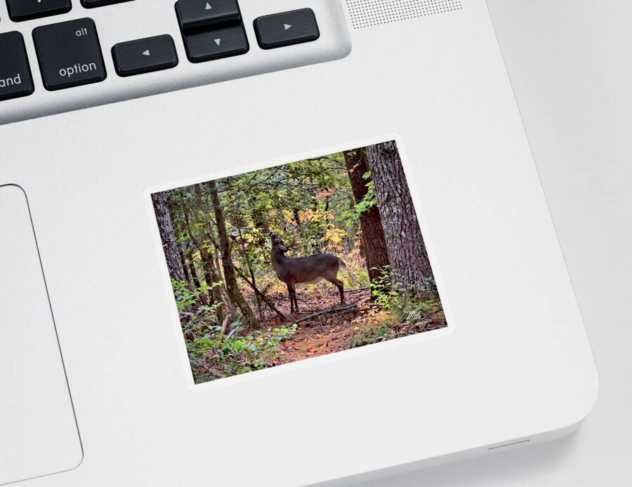  Sticker featuring the photograph Deer buck by Meta Gatschenberger