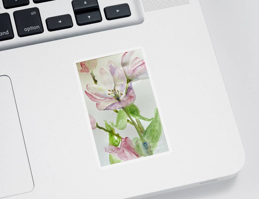Magnolias Sticker featuring the painting Delicate Magnolias by Sherry Harradence