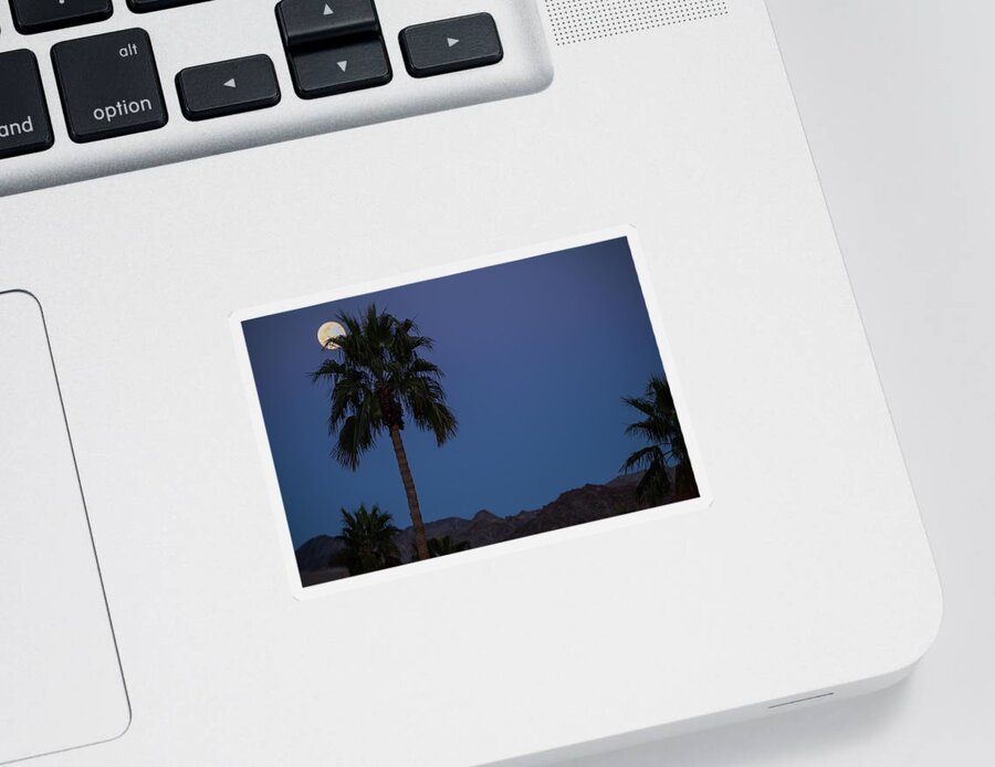 Snow Full Moon Rise Sticker featuring the photograph Desert Snow Full Moon Rise, Palm Tree Silhouette by Bonnie Colgan