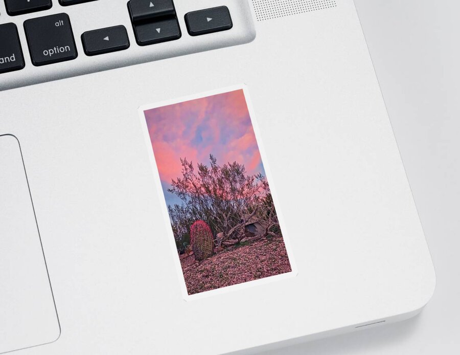 Pink Skies Sticker featuring the photograph Desert Tranquility by Judy Kennedy