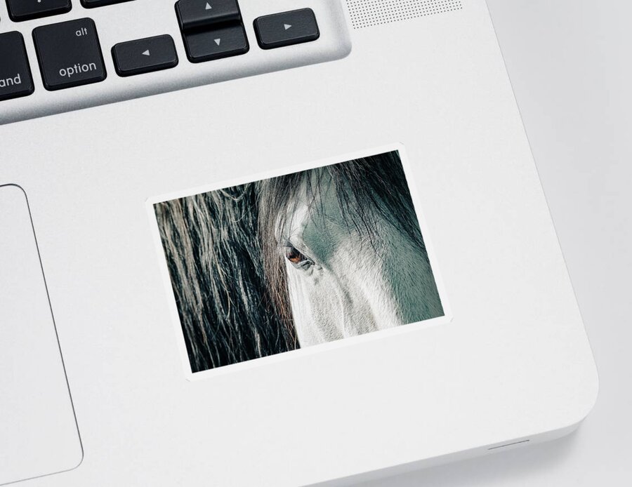 Beauty In Nature Sticker featuring the photograph Details of horse's head by Benoit Bruchez