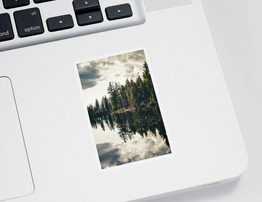 Reflection Sticker featuring the photograph Divided by Laura Roberts