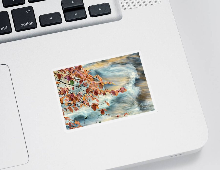Dogwood Sticker featuring the digital art Dogwood and Standing Waves by William Fields