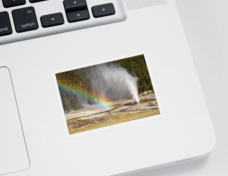 Yellowstone National Park Sticker featuring the photograph Double The Pleasure by Ann Skelton