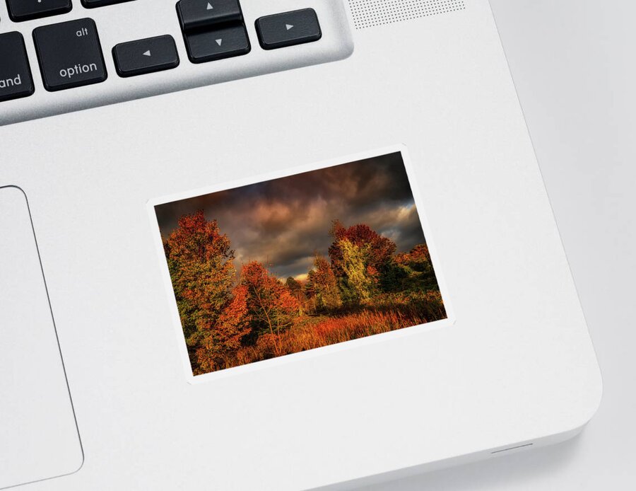 Foliage Sticker featuring the photograph Dramatic Autumn sky landscape by Lilia D