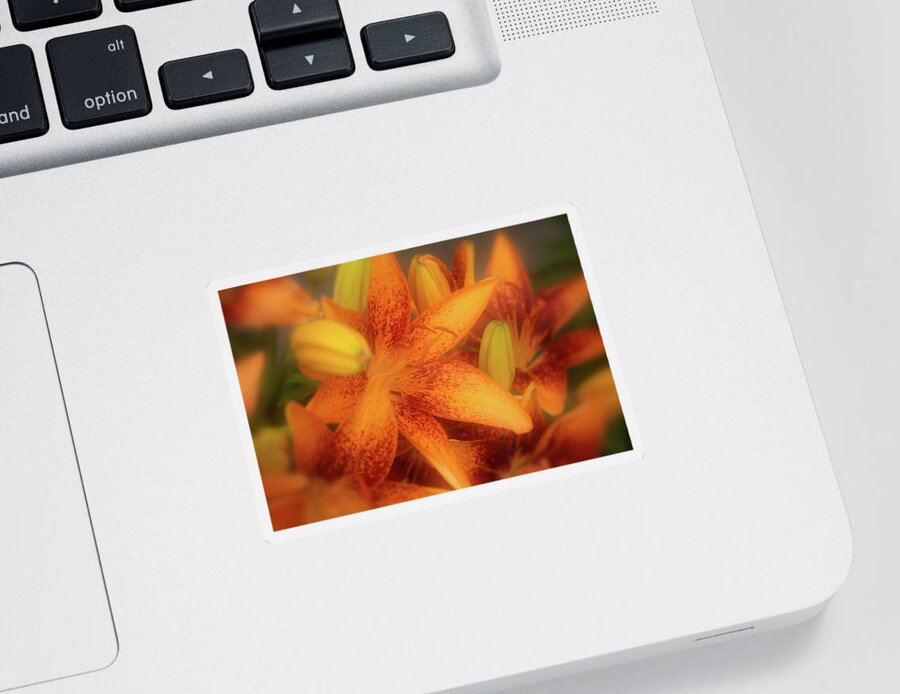 Lily Sticker featuring the photograph Dreamy Orange Sensation Lily by Angie Tirado