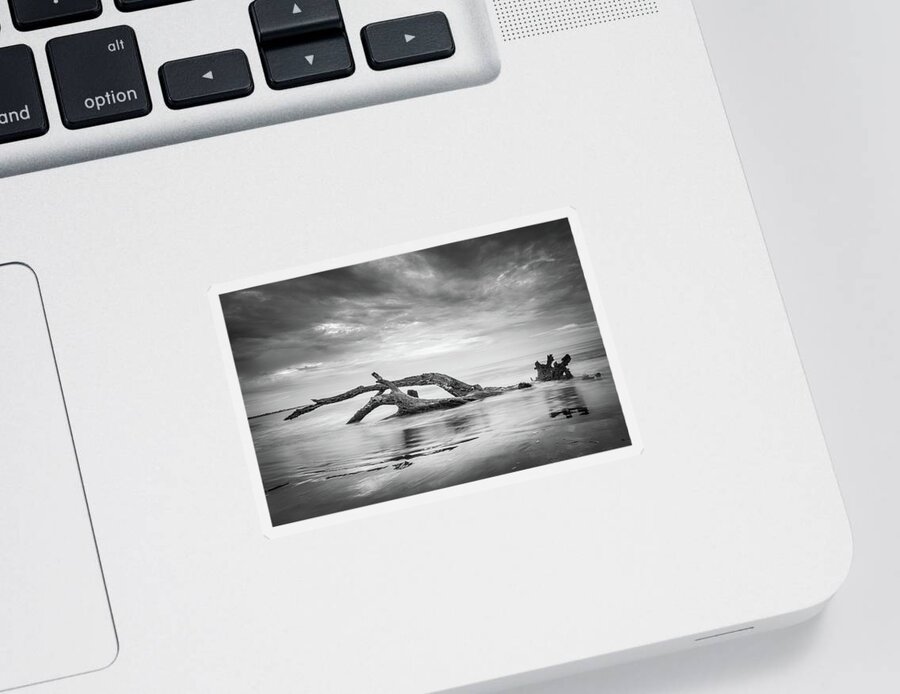 Driftwood Beach Sticker featuring the photograph Driftwood Beach In Black And White by Jordan Hill