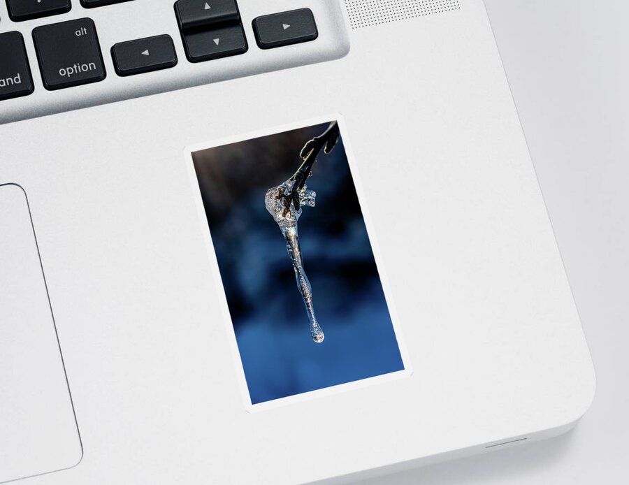 Ice Sticker featuring the photograph Dripping Ice by Len Bomba