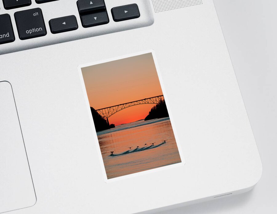 Deception Pass Sticker featuring the photograph Ducks Under the Bridge by Michael Rauwolf