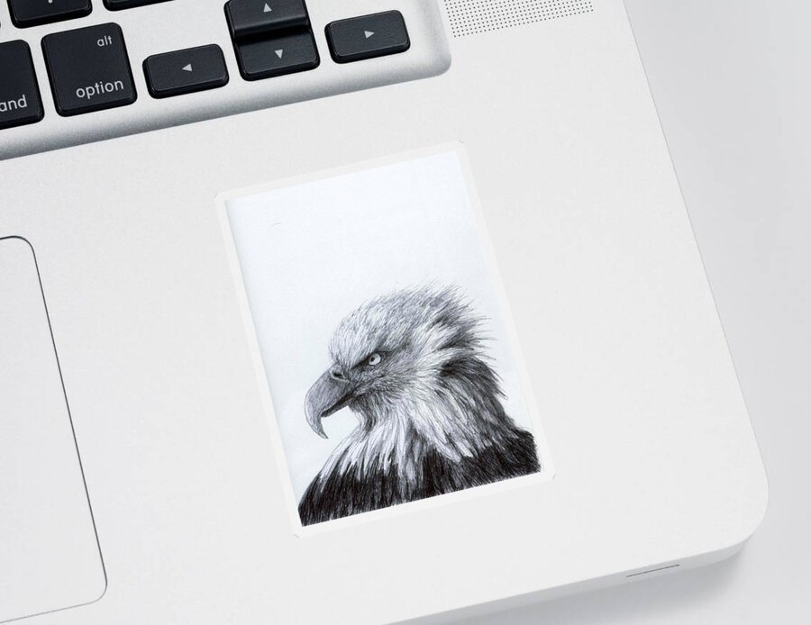 Bald Eagle Sticker featuring the drawing Eagle Eye Profile by Rick Hansen