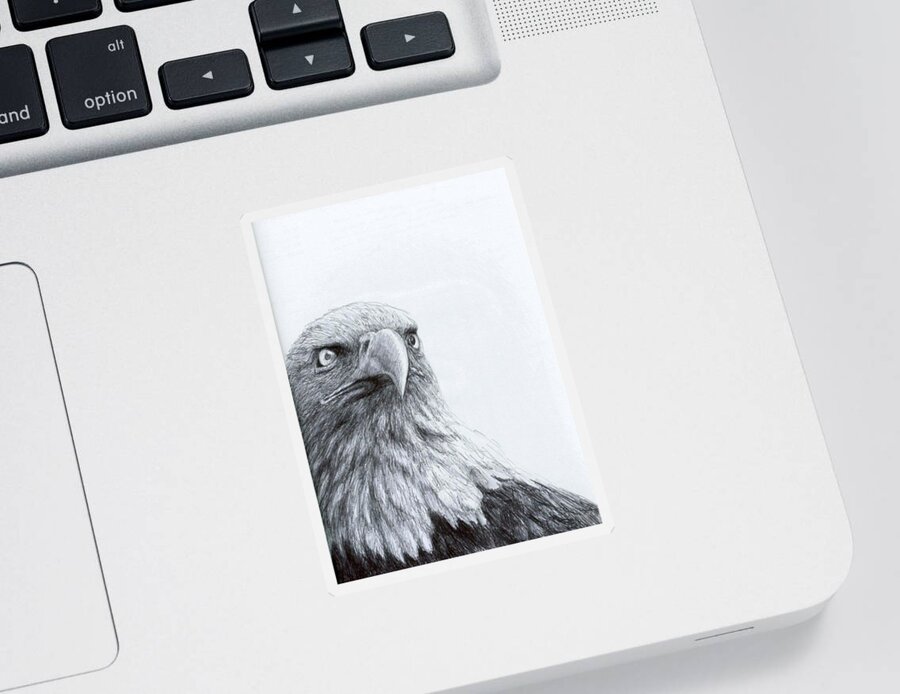 Bald Eagle Sticker featuring the drawing Eagle Eye by Rick Hansen