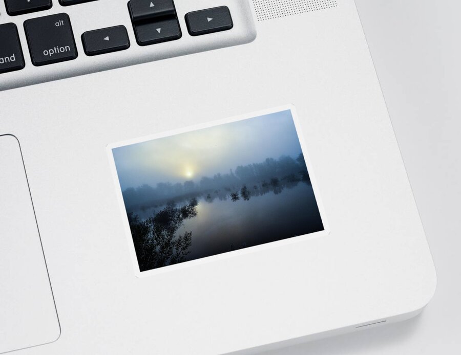 Mist Sticker featuring the photograph Early Morning Fog by Addison Likins