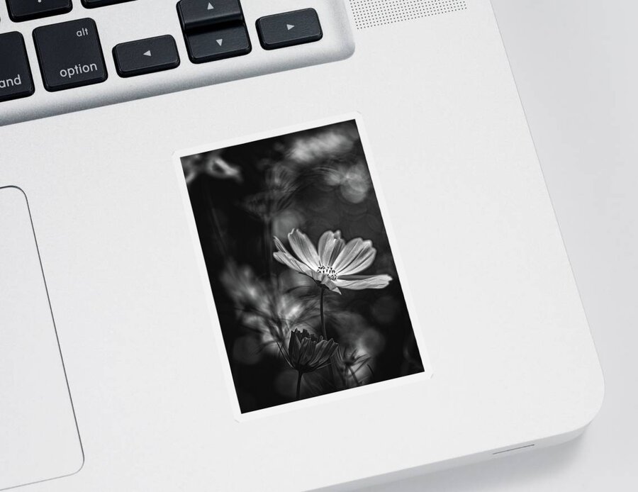 Flower Sticker featuring the photograph Early Spring by Bob Orsillo