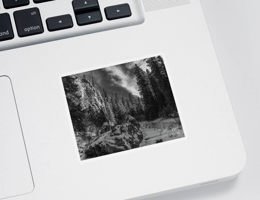 Landscape Sticker featuring the photograph East Fork in the Snow by Seth Betterly