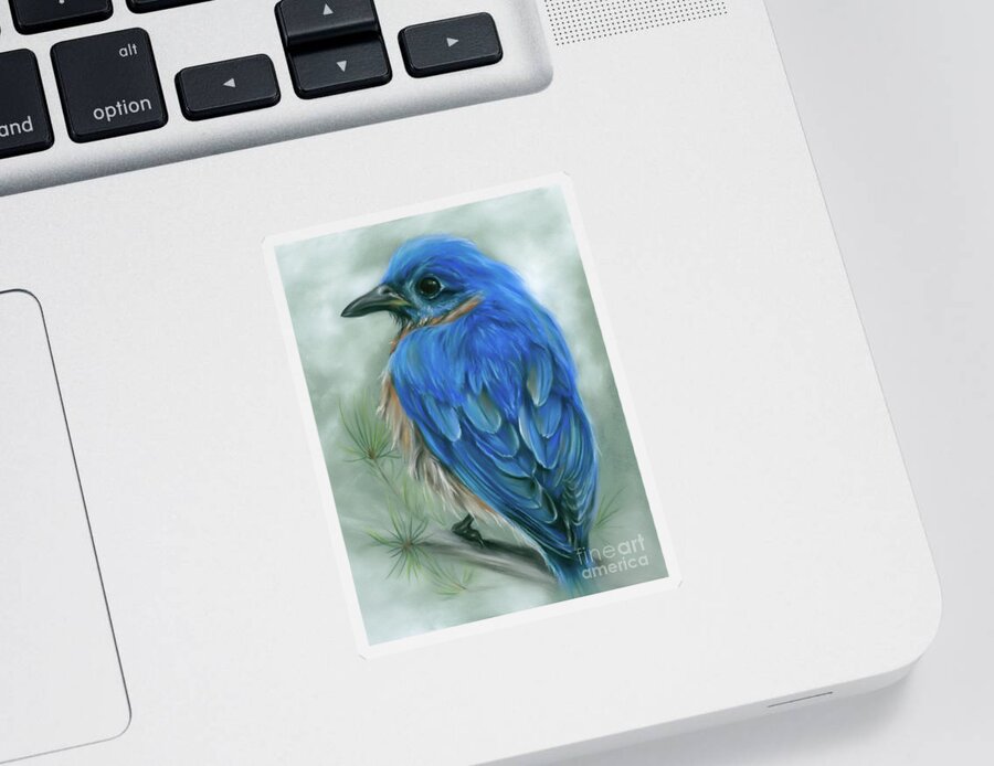 Bird Sticker featuring the painting Eastern Bluebird on a Pine Branch by MM Anderson