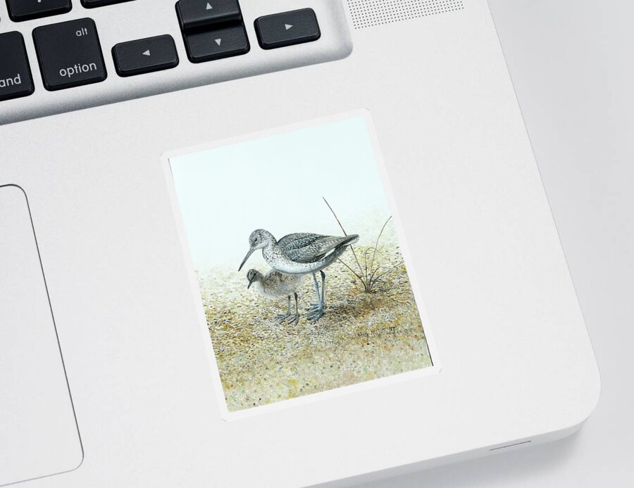 Willet Sticker featuring the painting Eastern Willet with Chick by Barry MacKay