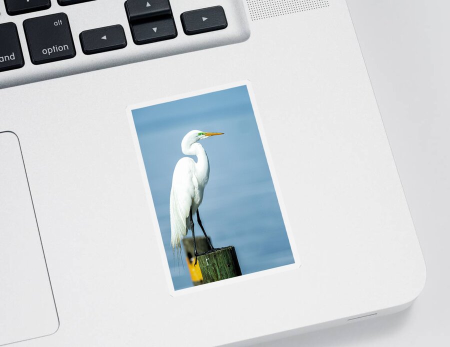 Egret Sticker featuring the photograph Egret on Pilling by Fran Gallogly