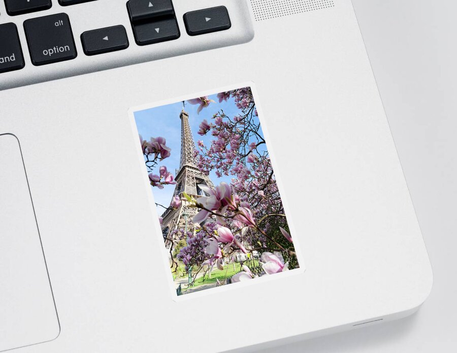 Eiffel Sticker featuring the photograph Eiffel Tour and Magnolia by Anastasy Yarmolovich