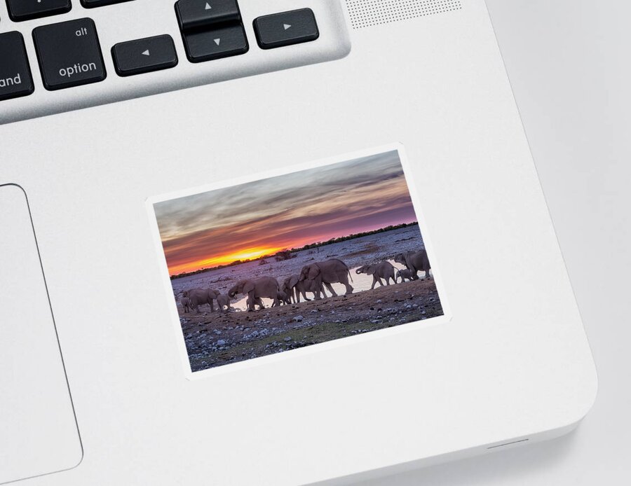 Elephants Sticker featuring the photograph Elephant Herd at Okaukuejo Waterhole at Sunset by Belinda Greb