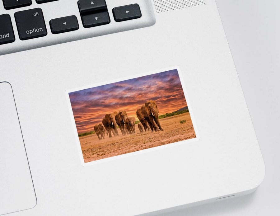  Elephants Sticker featuring the photograph 	Elephants in the Serengeti at Sunset by Mitchell R Grosky