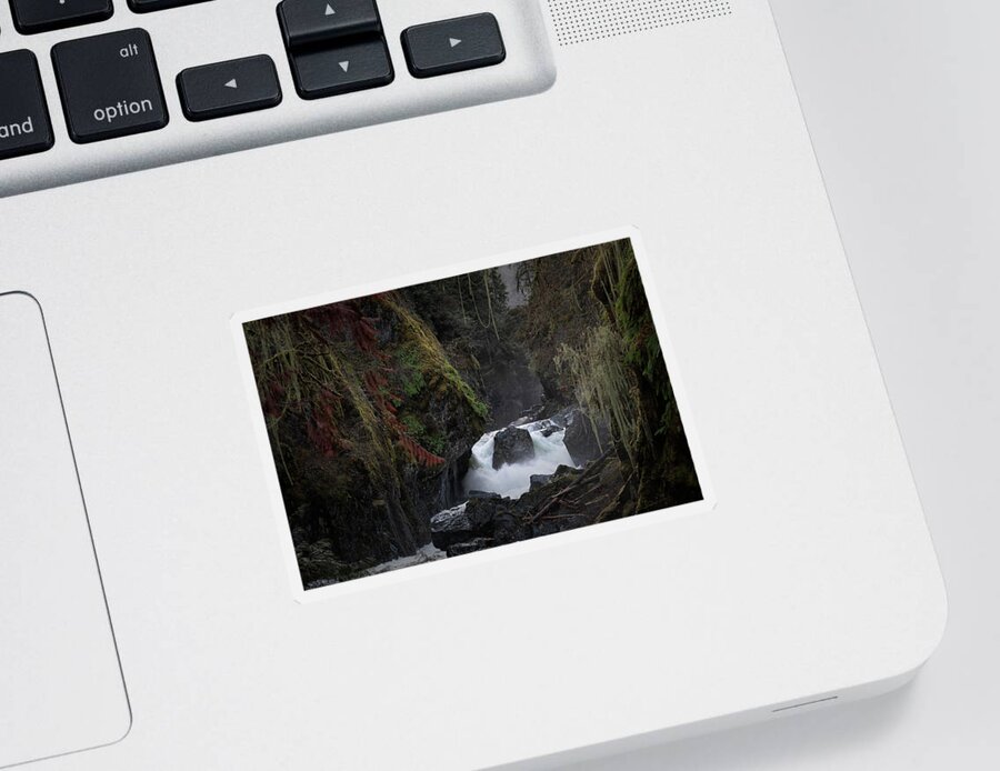 Waterfall Sticker featuring the photograph Englishman River Lower Falls by Randy Hall