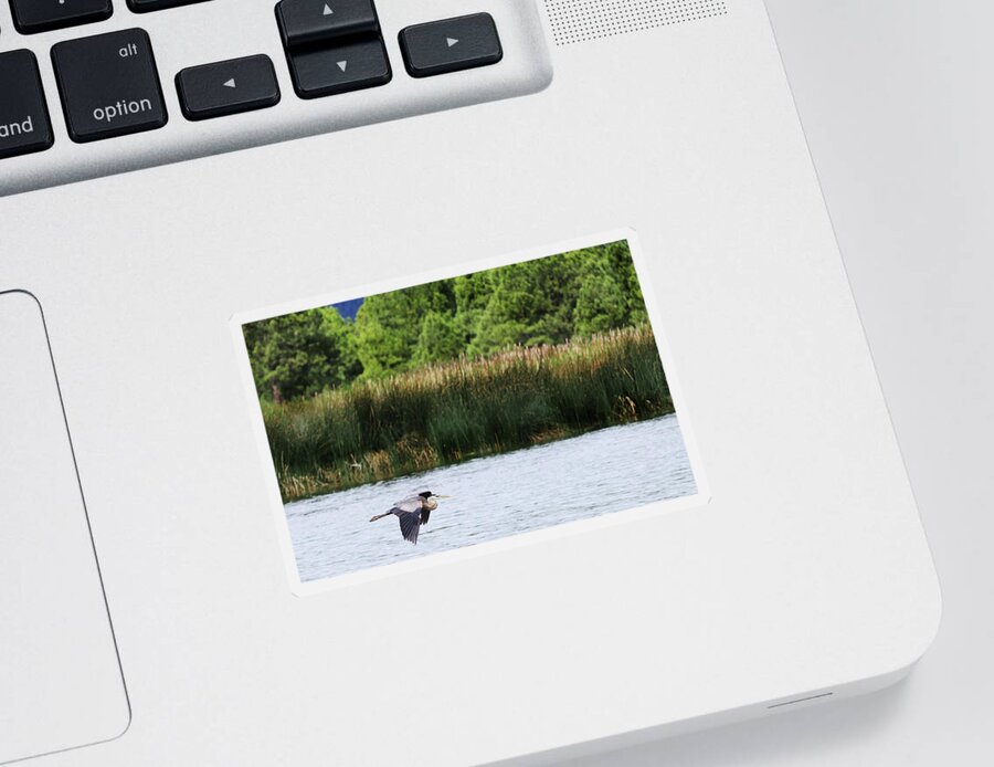 Heron Sticker featuring the photograph Ephemeral Summer Flight by Laura Putman
