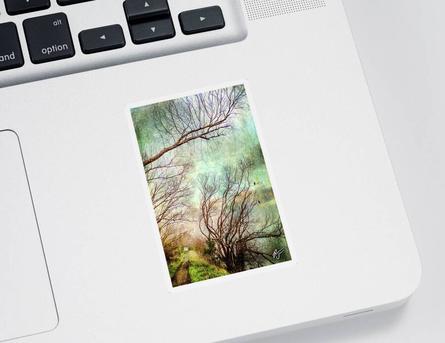 Tree Sticker featuring the photograph Evening Shags by Roseanne Jones