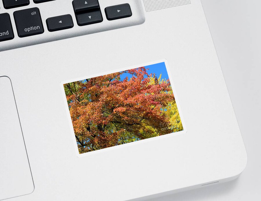 Fall Sticker featuring the photograph Fall Autumn Photo 137 by Lucie Dumas