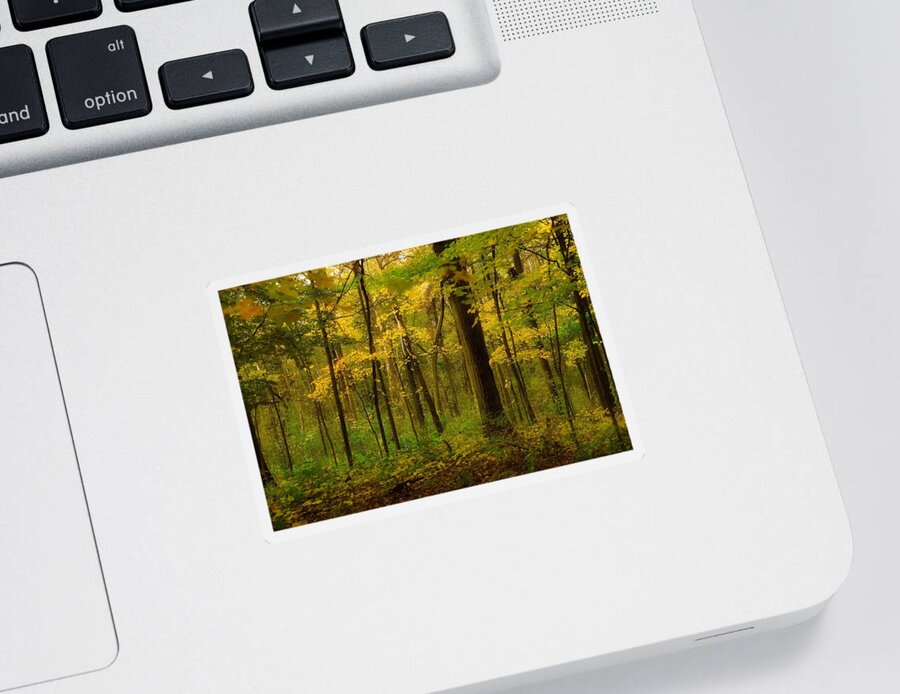 Fall Leaves Sticker featuring the photograph Fall Forest by Jim Signorelli