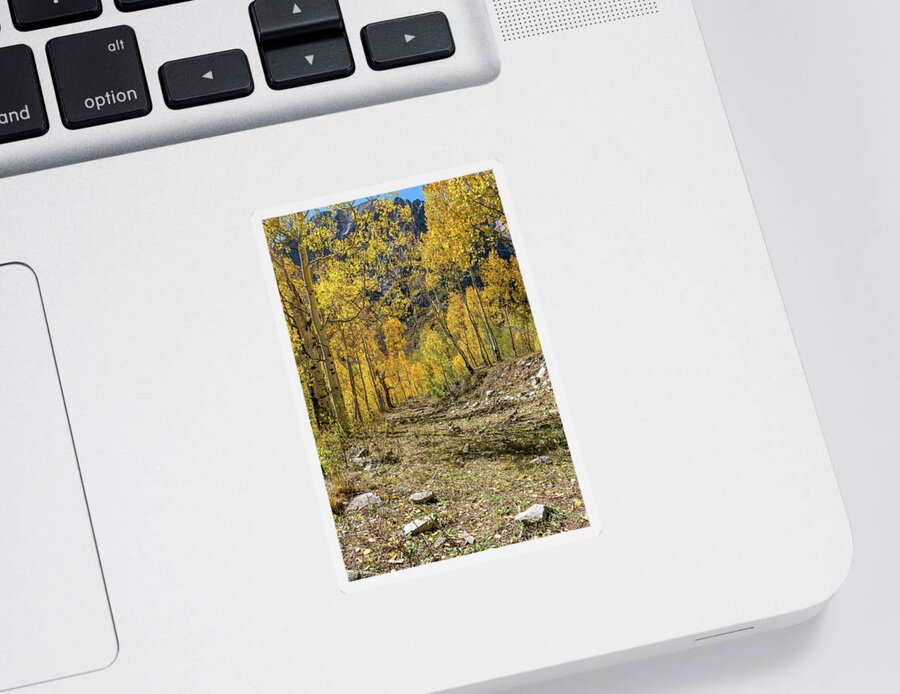 Aspens Sticker featuring the photograph Fall Mountain Road by Ron Long Ltd Photography