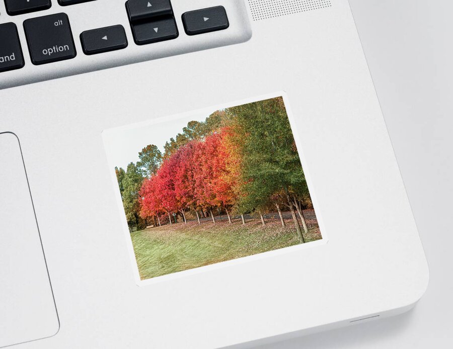 Fall Sticker featuring the photograph Fall Rainbow by Rick Nelson
