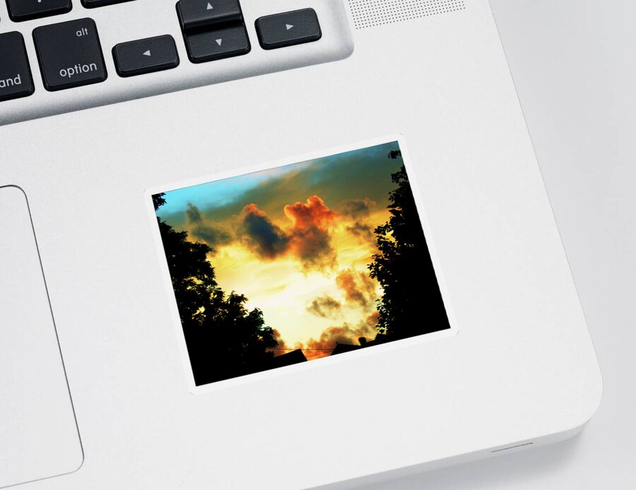 Fall Sticker featuring the photograph Fall Sunset by Christopher Reed