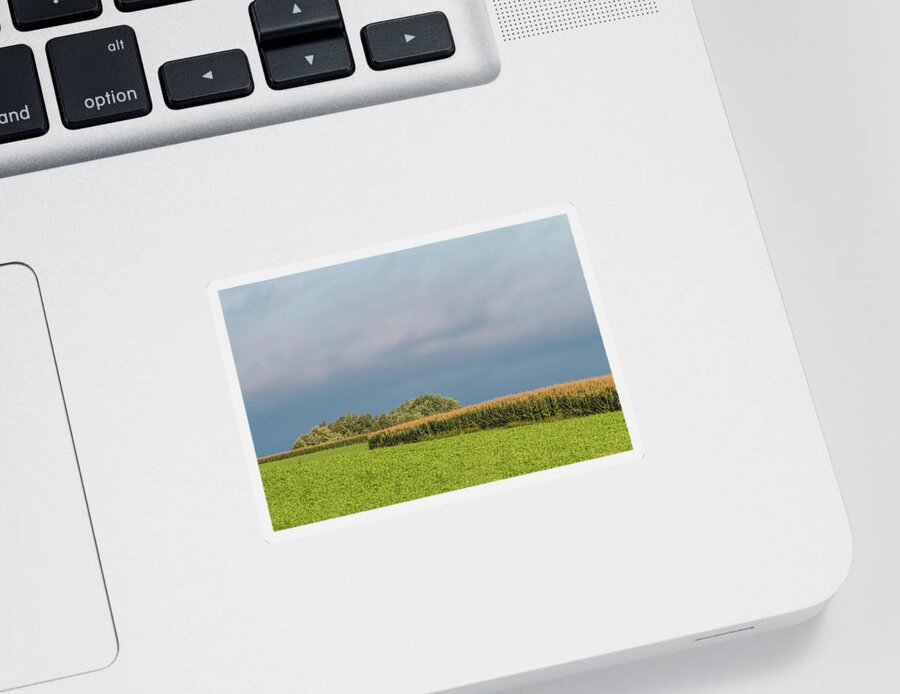 Corn Sticker featuring the photograph Farmer's Field by Patti Deters