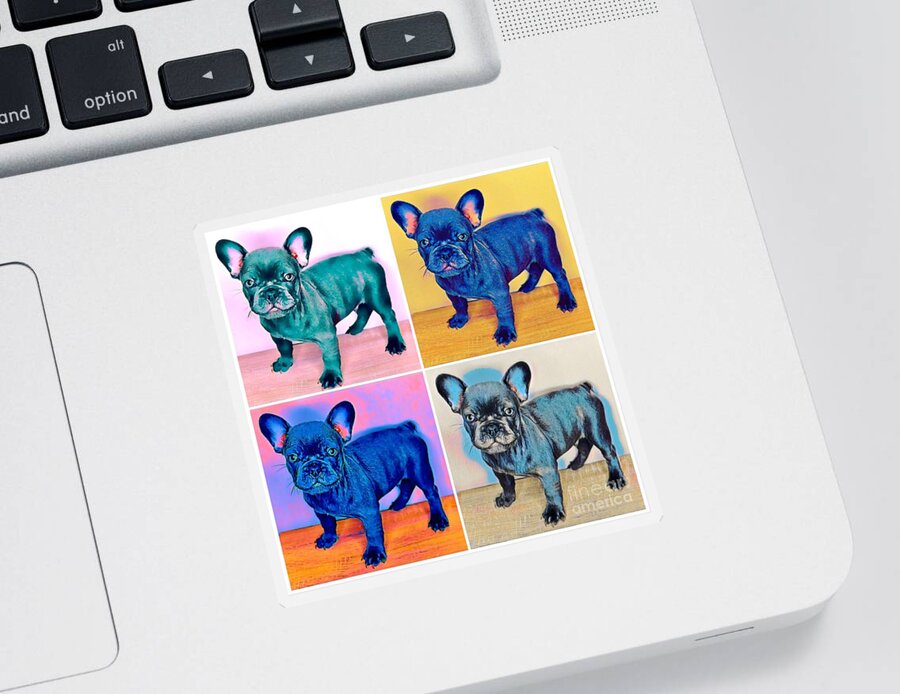 Blue French Bulldog. Frenchie. Dog. Pet. Animals. Sticker featuring the photograph Feeling Bully by Denise Railey